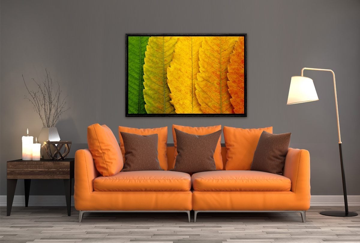 Leaves Close-up | Canvas Art Print - Final Touch Decor