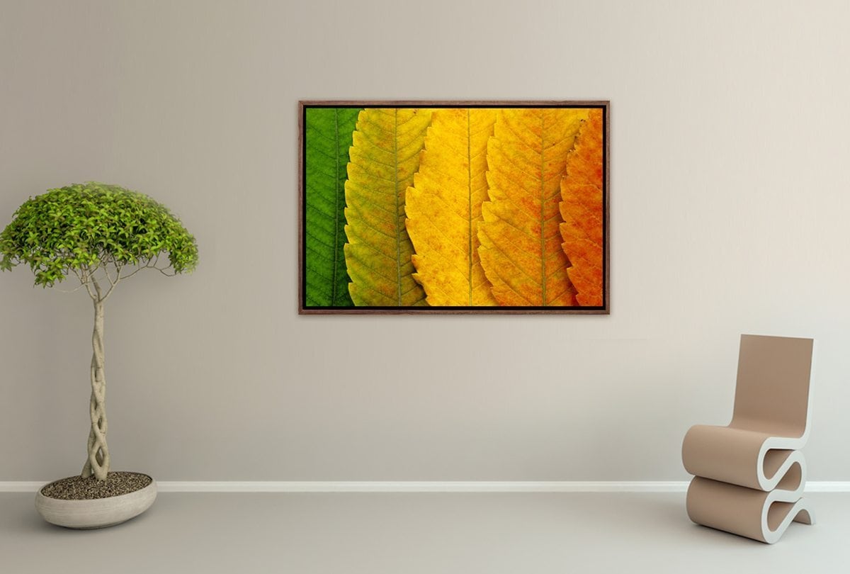 Leaves Close-up | Canvas Art Print - Final Touch Decor