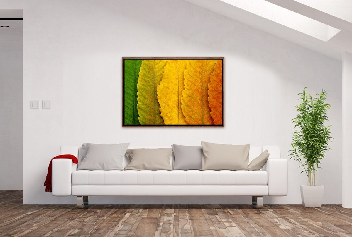 Leaves Close-up | Canvas Art Print - Final Touch Decor