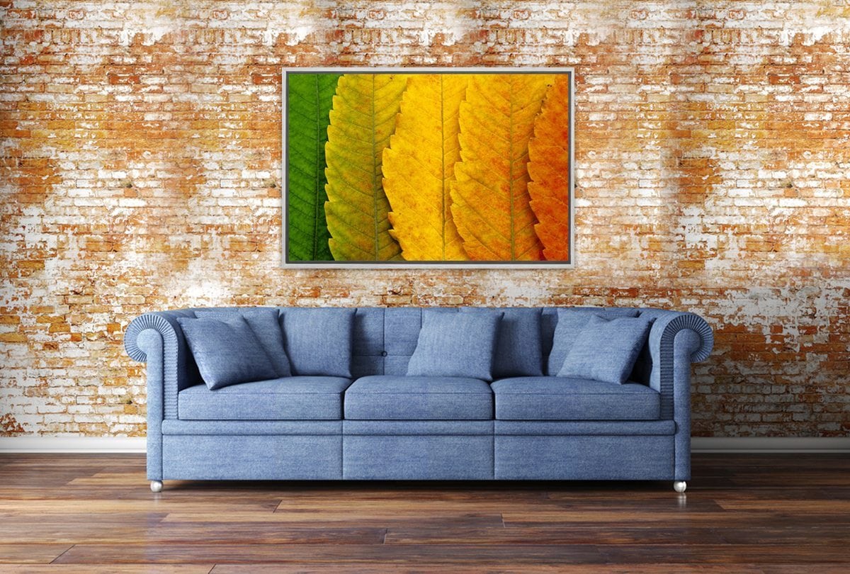 Leaves Close-up | Canvas Art Print - Final Touch Decor