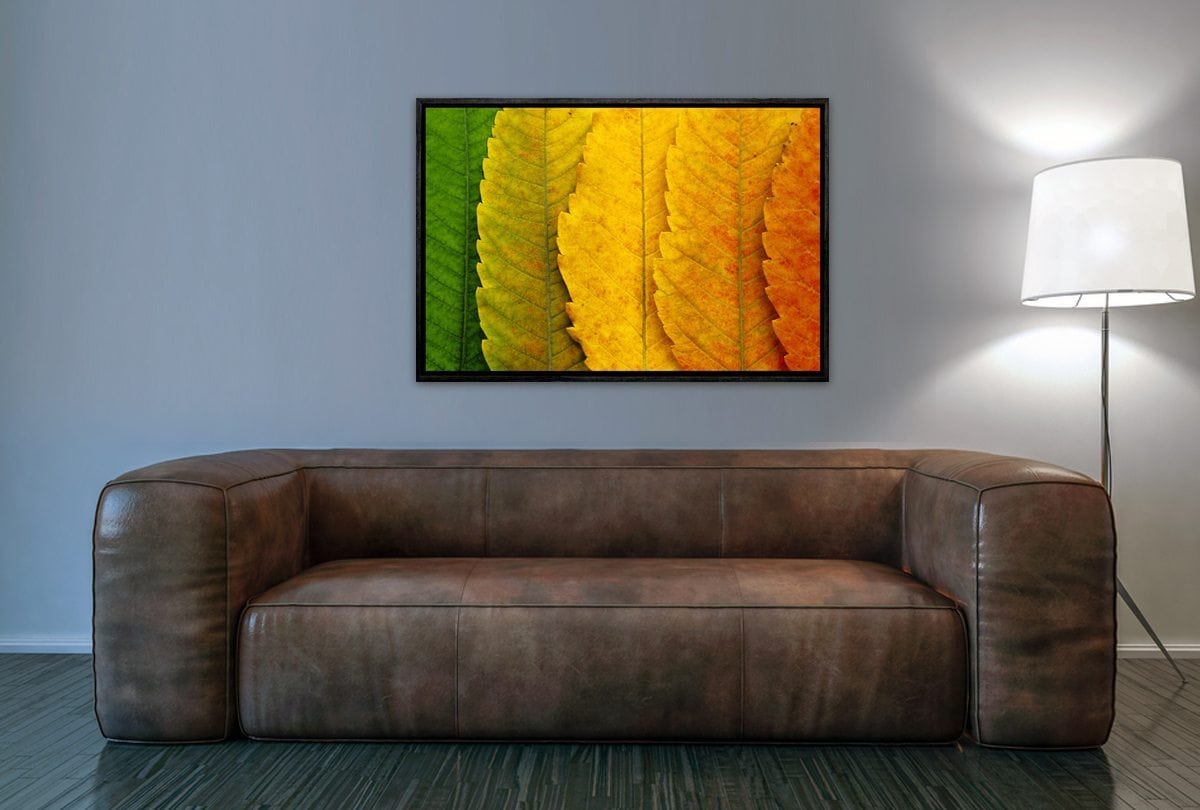 Leaves Close-up | Canvas Art Print - Final Touch Decor