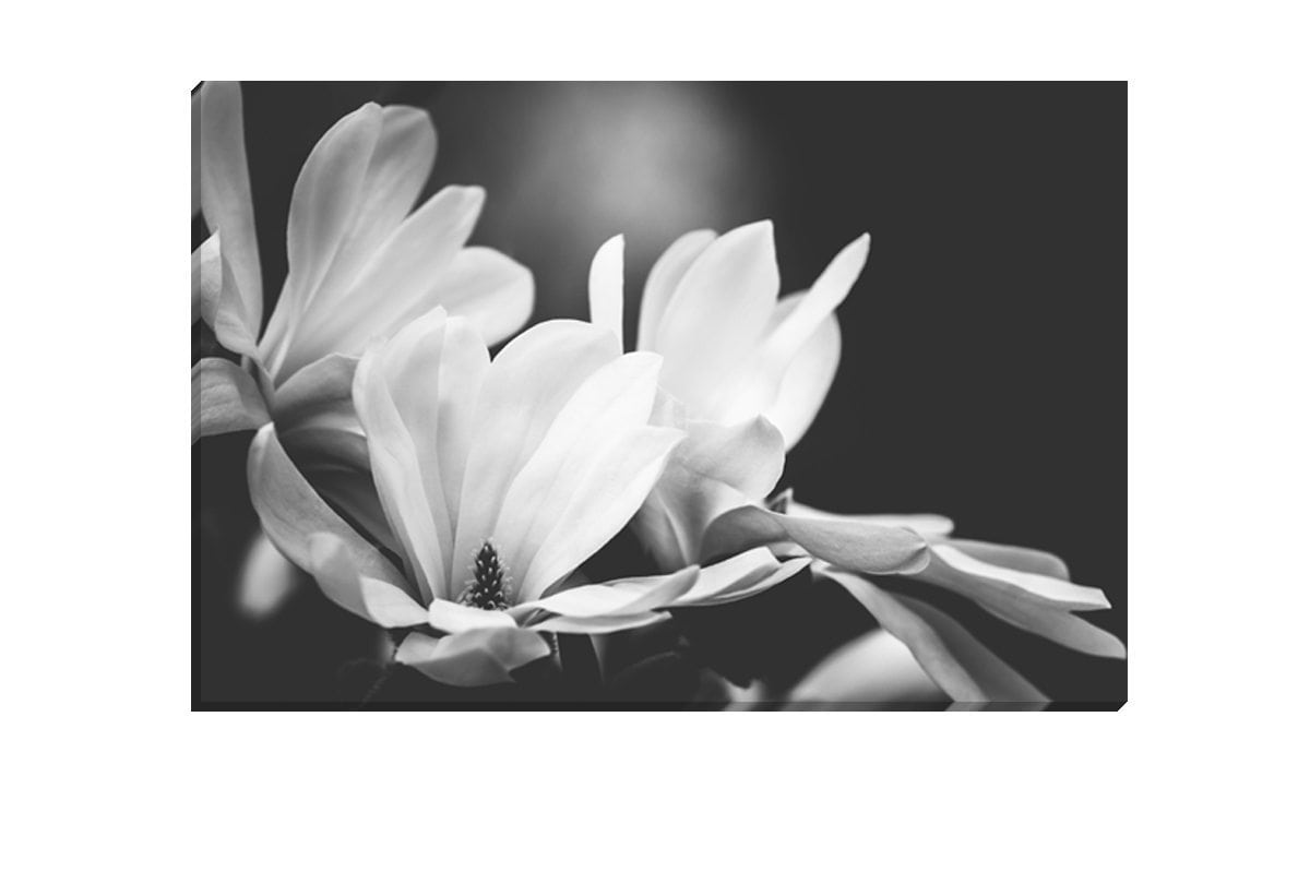 Mono Tone Bloom | Canvas Art Print - Final Touch Decor