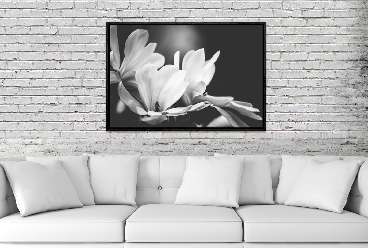 Mono Tone Bloom | Canvas Art Print - Final Touch Decor