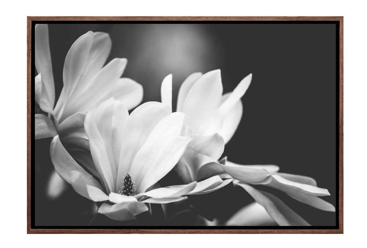 Mono Tone Bloom | Canvas Art Print - Final Touch Decor