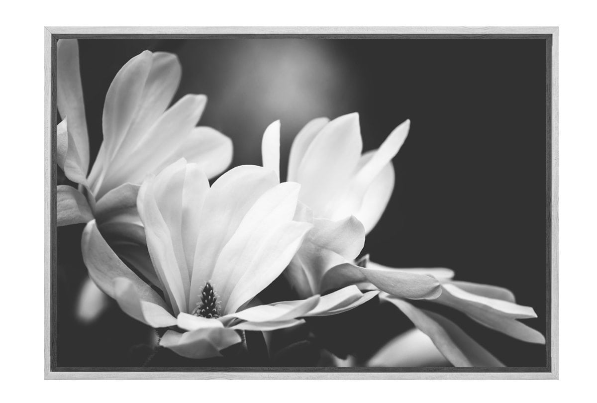 Mono Tone Bloom | Canvas Art Print - Final Touch Decor