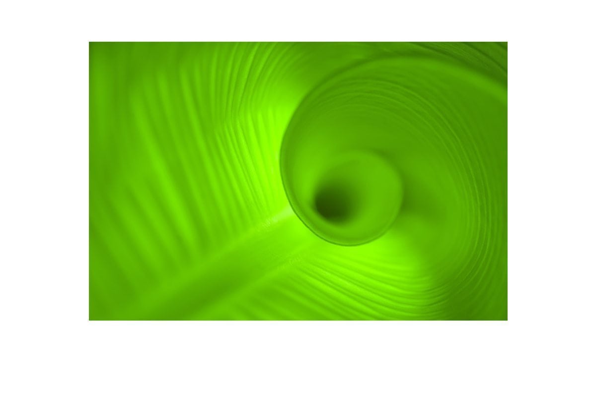 Green Leaf | Canvas Art Print - Final Touch Decor