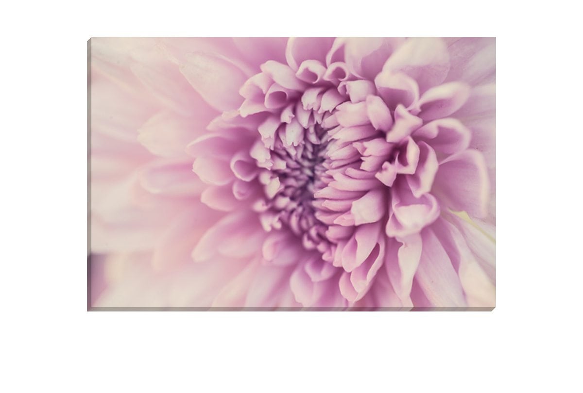 Lilac Bloom | Canvas Art Print - Final Touch Decor