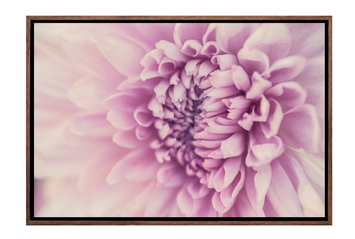 Lilac Bloom | Canvas Art Print - Final Touch Decor