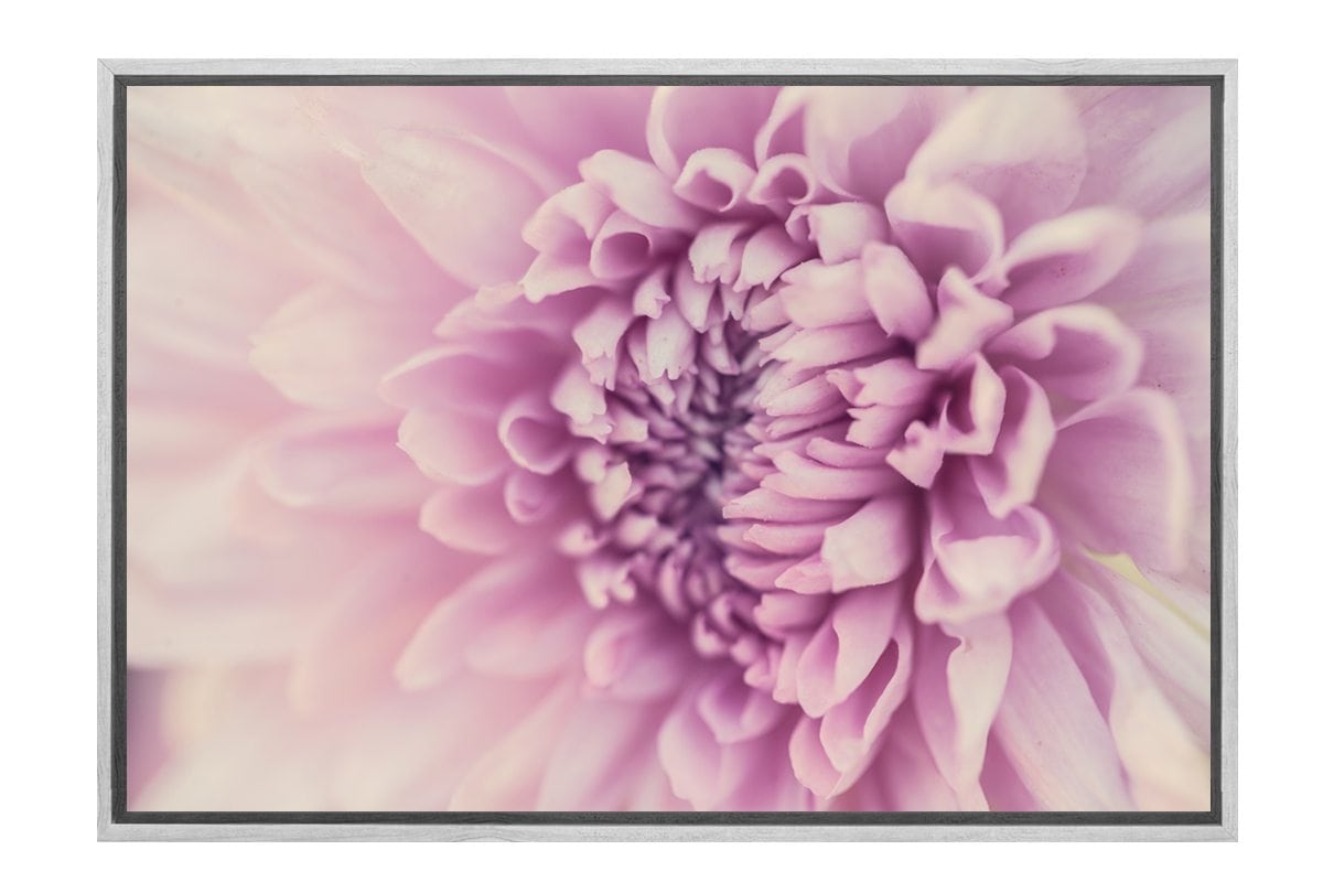 Lilac Bloom | Canvas Art Print - Final Touch Decor