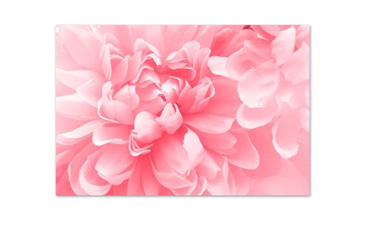 Pink Bloom 4 | Canvas Art Print - Final Touch Decor