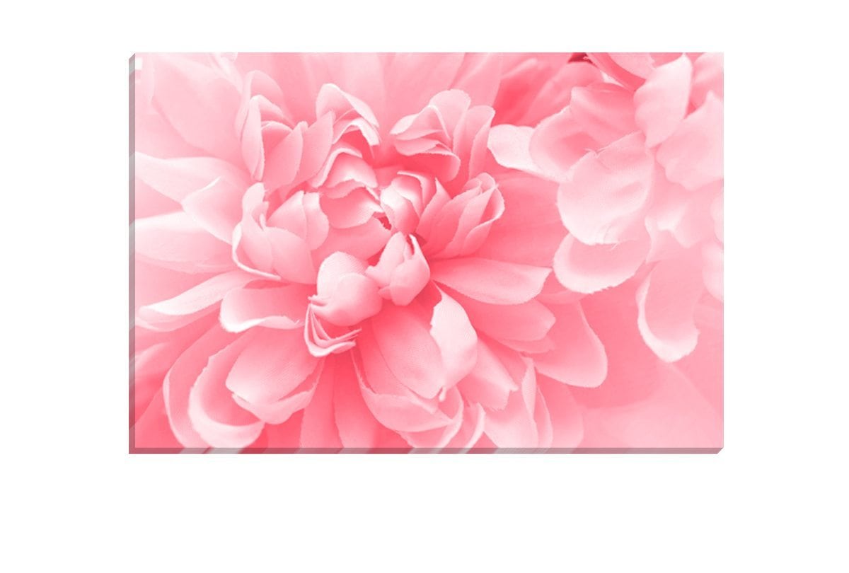 Pink Bloom 4 | Canvas Art Print - Final Touch Decor