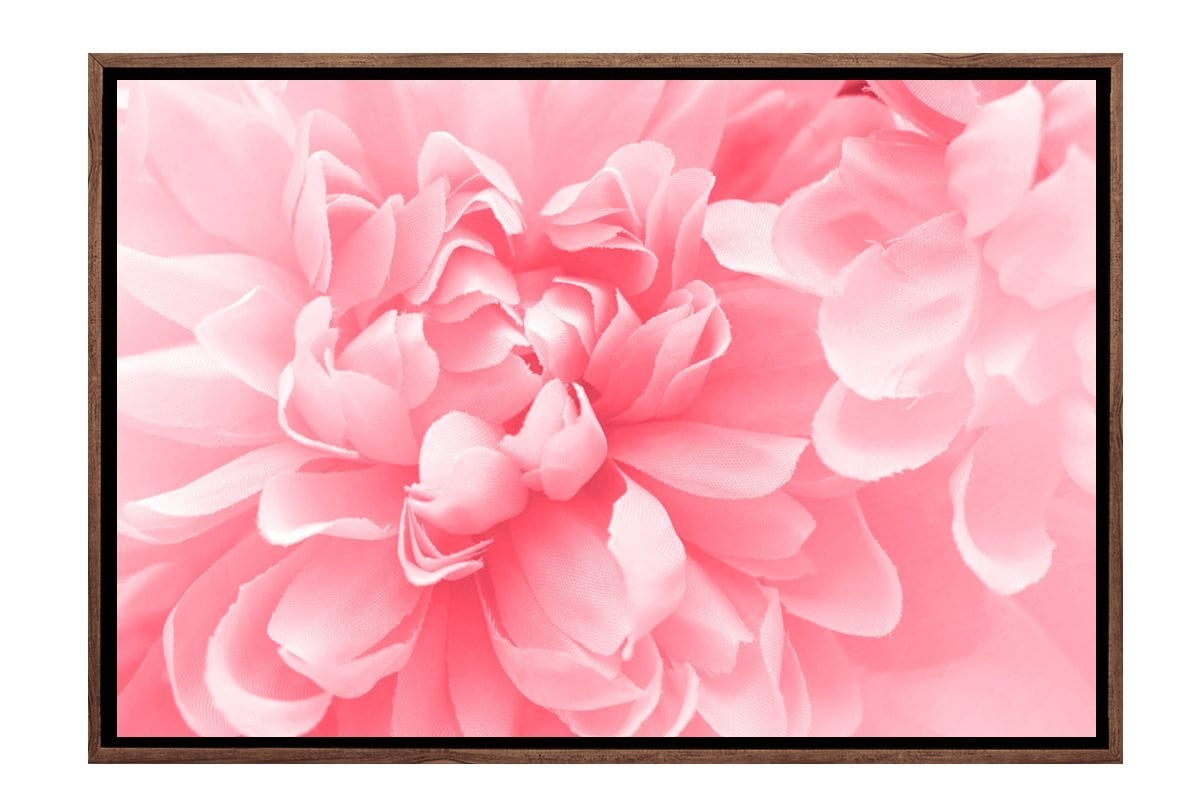 Pink Bloom 4 | Canvas Art Print - Final Touch Decor