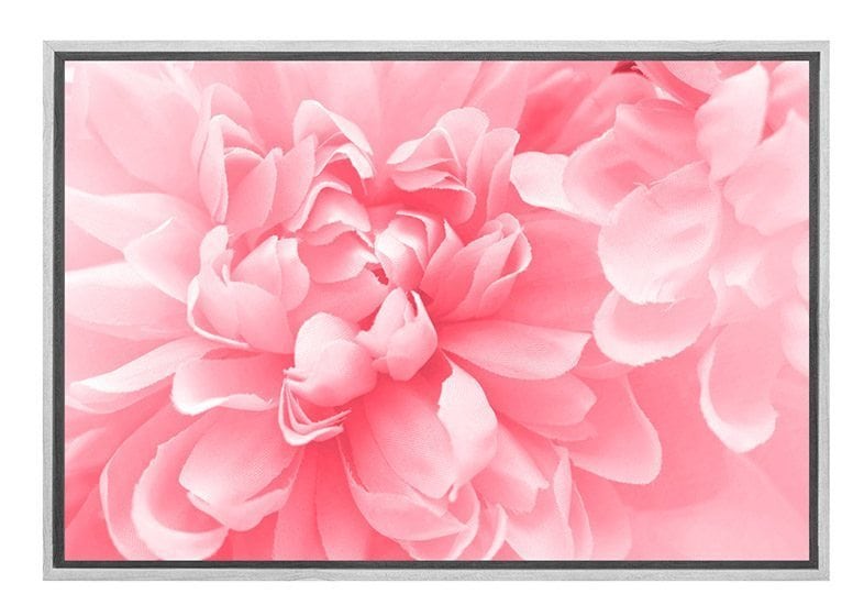 Pink Bloom 4 | Canvas Art Print - Final Touch Decor