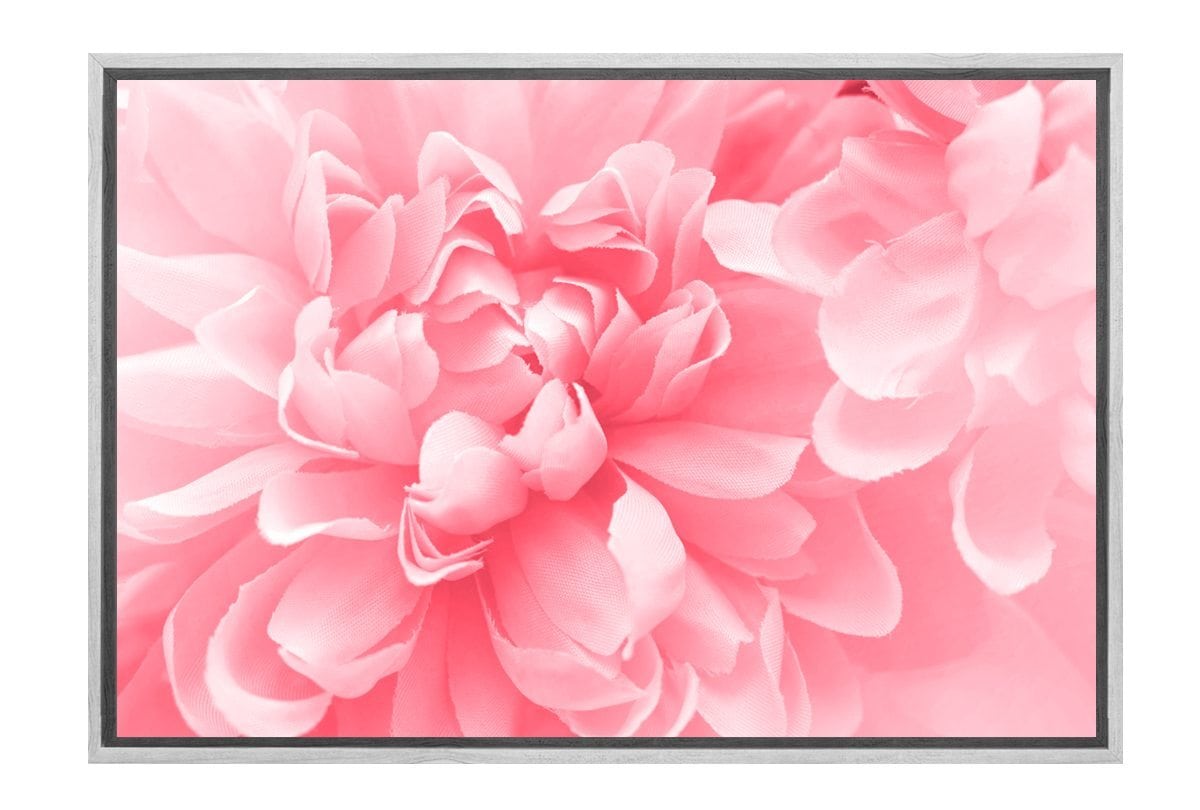 Pink Bloom 4 | Canvas Art Print - Final Touch Decor