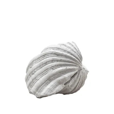 Deco Clam Shell 11cm - Final Touch Decor