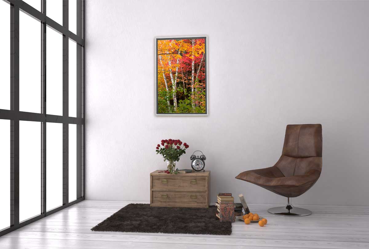 Autumn Forest 3 | Canvas Wall Art Print - Final Touch Decor