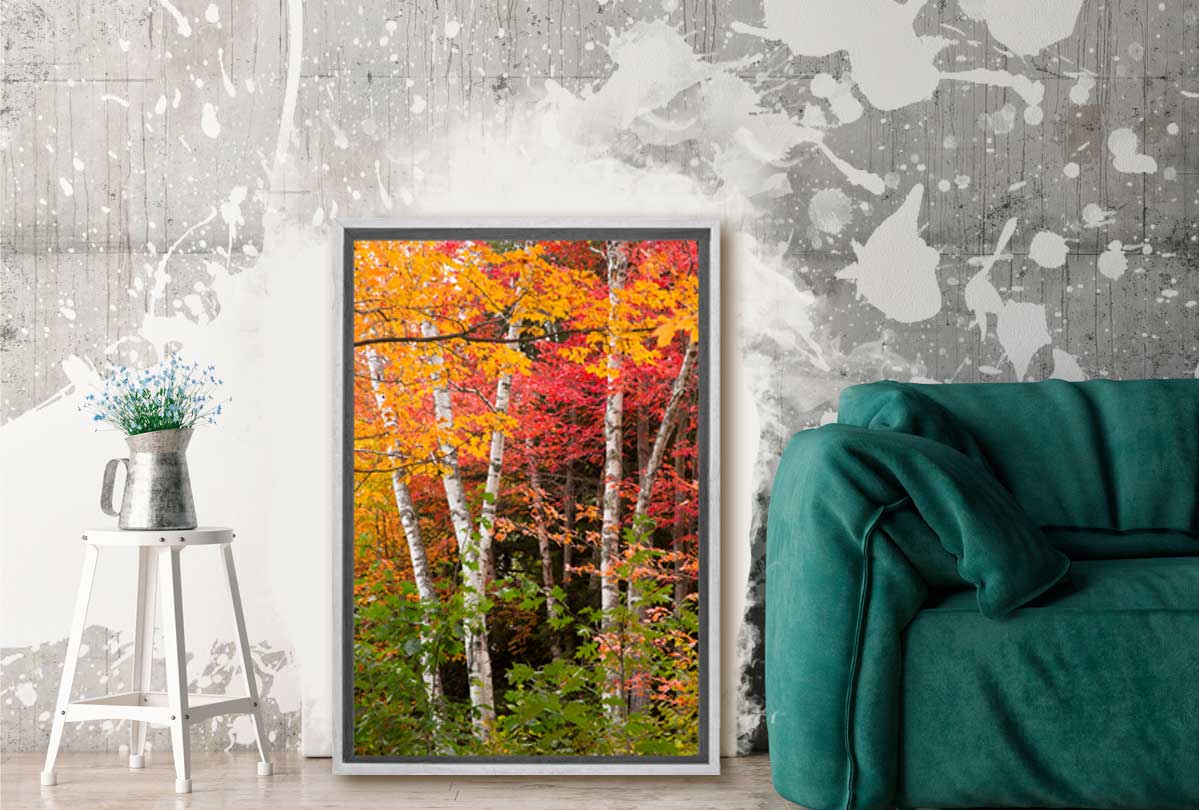 Autumn Forest 3 | Canvas Wall Art Print - Final Touch Decor