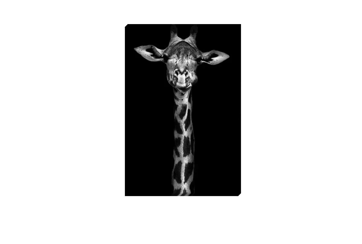 Giraffe | Canvas Wall Art Print - Final Touch Decor