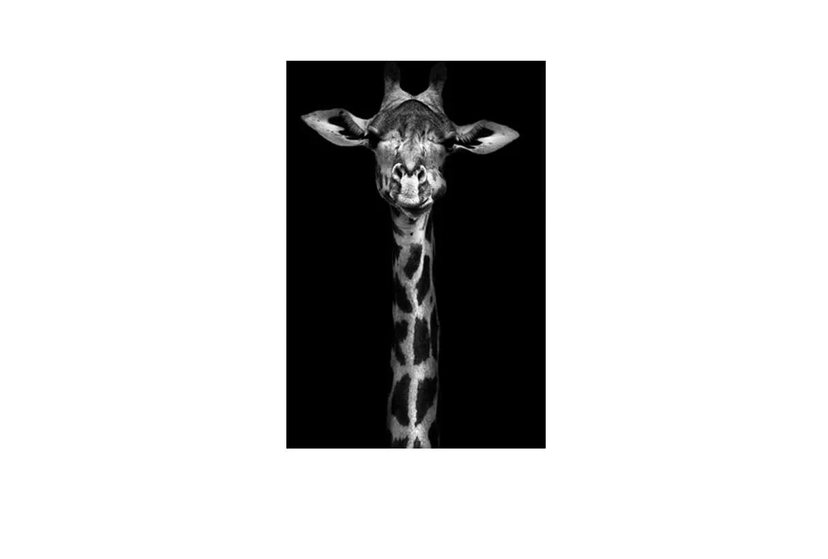 Giraffe | Canvas Wall Art Print - Final Touch Decor