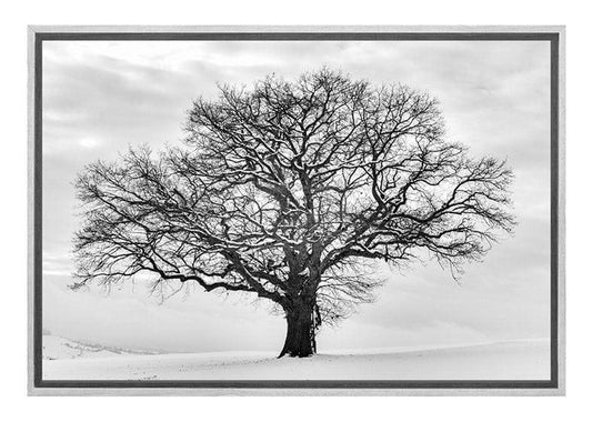 Snow Covered Tree 2 | Canvas Wall Art Print - Final Touch Decor