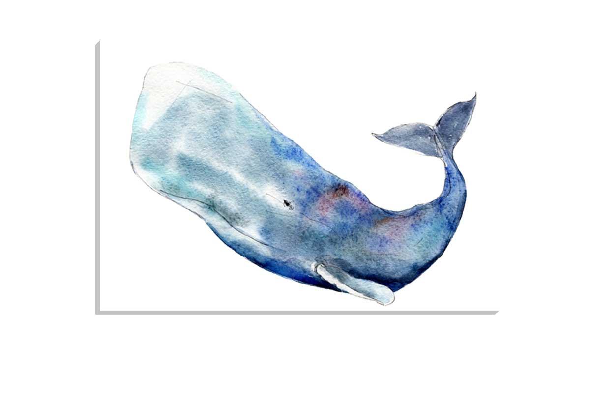 Whale 5 | Canvas Wall Art Print - Final Touch Decor