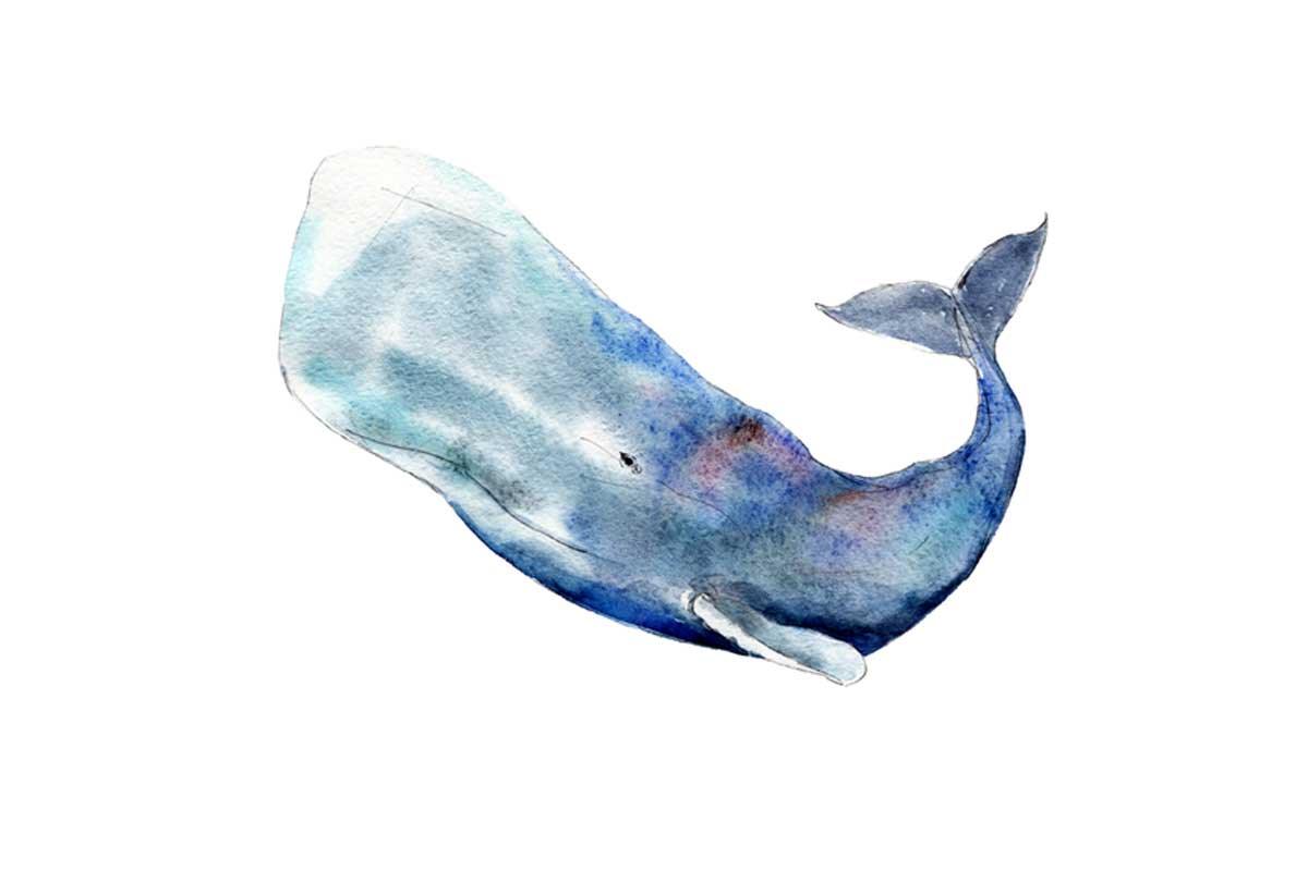 Whale 5 | Canvas Wall Art Print - Final Touch Decor
