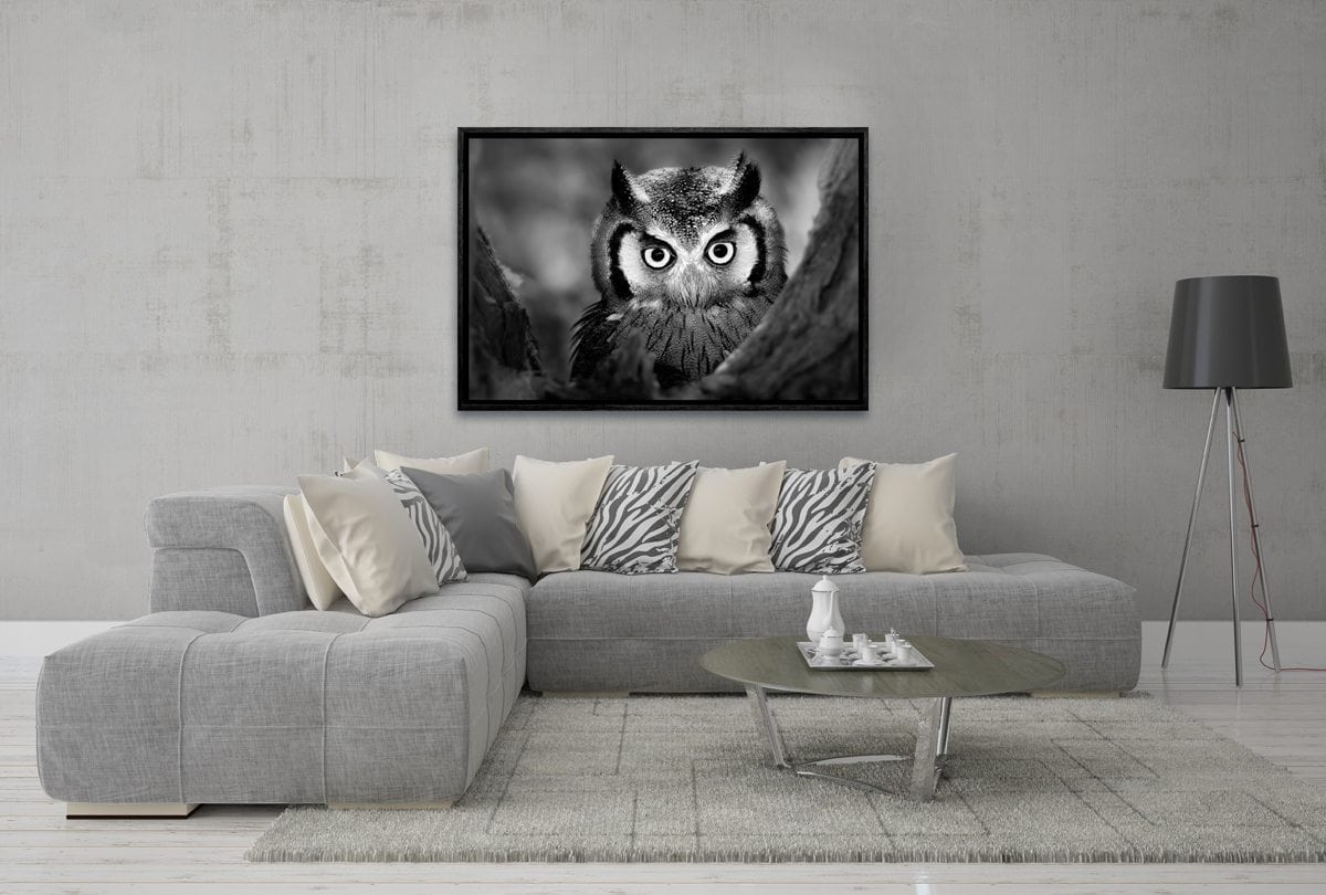 Owl Black and White | Canvas Art Print - Final Touch Decor
