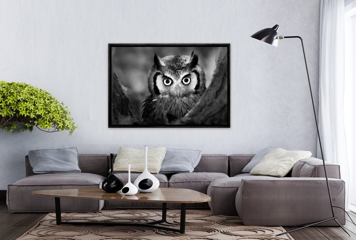 Owl Black and White | Canvas Art Print - Final Touch Decor