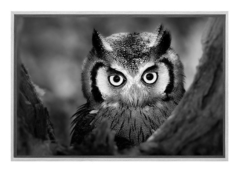 Owl Black and White | Canvas Art Print - Final Touch Decor