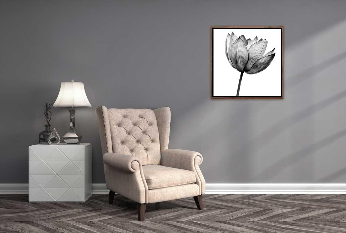 Lotus Flower in Black & White | Canvas Wall Art Print - Final Touch Decor