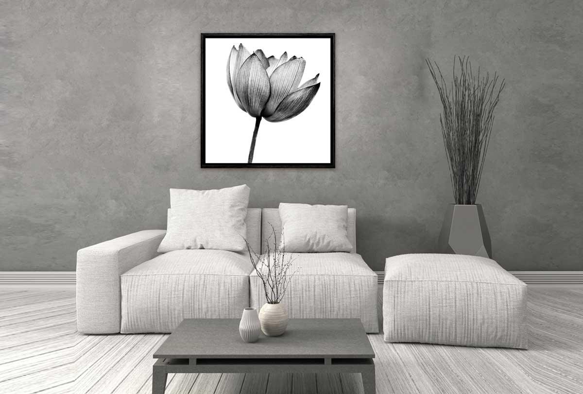 Lotus Flower in Black & White | Canvas Wall Art Print - Final Touch Decor
