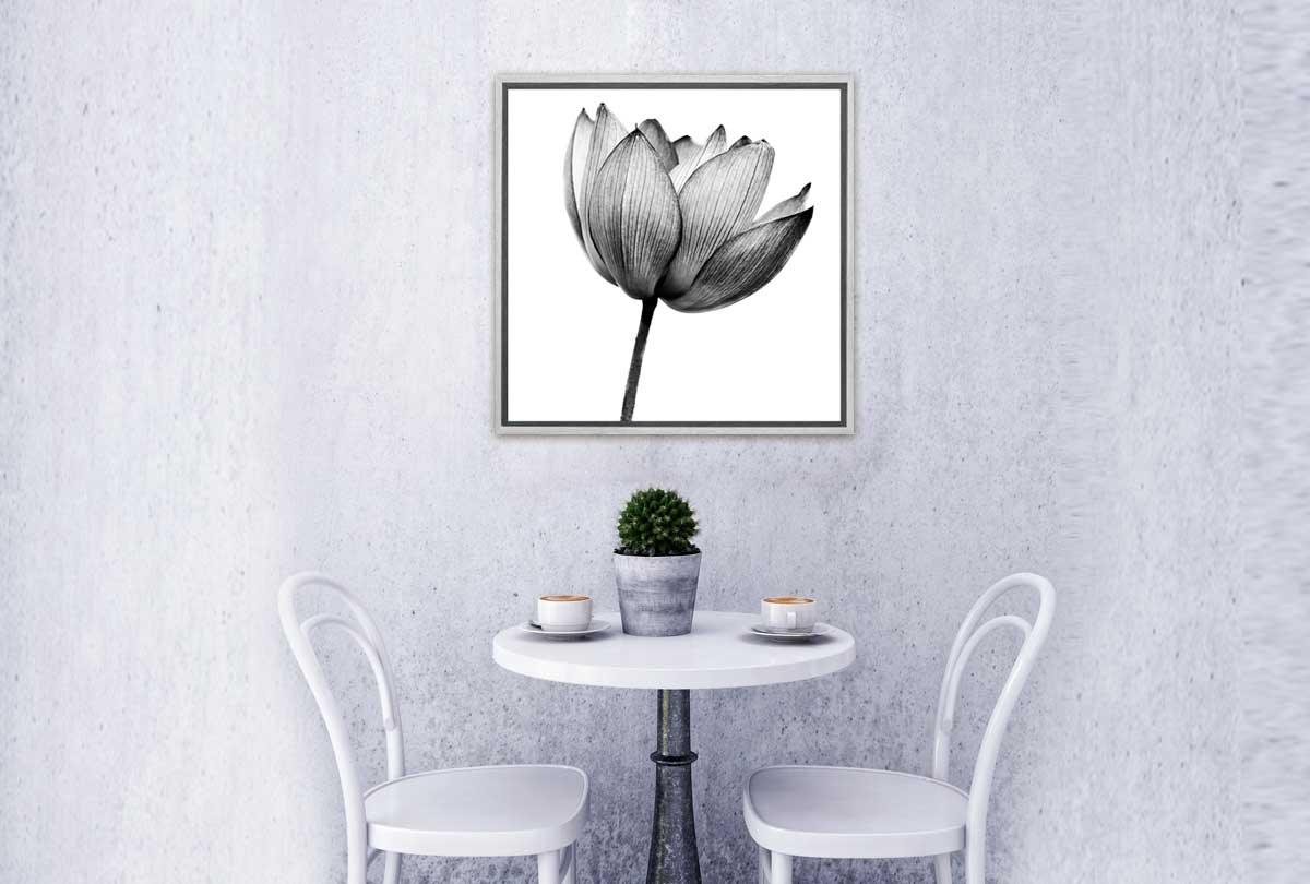 Lotus Flower in Black & White | Canvas Wall Art Print - Final Touch Decor