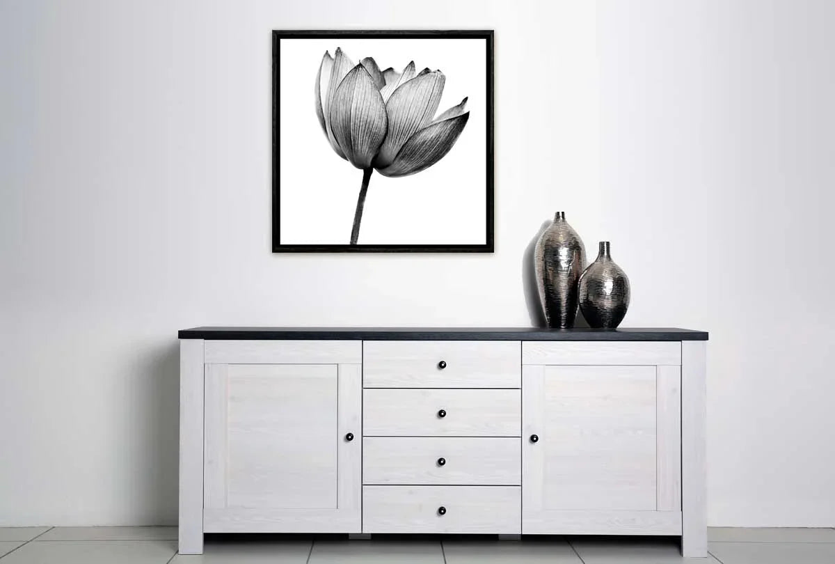 Lotus Flower in Black & White | Canvas Wall Art Print - Final Touch Decor