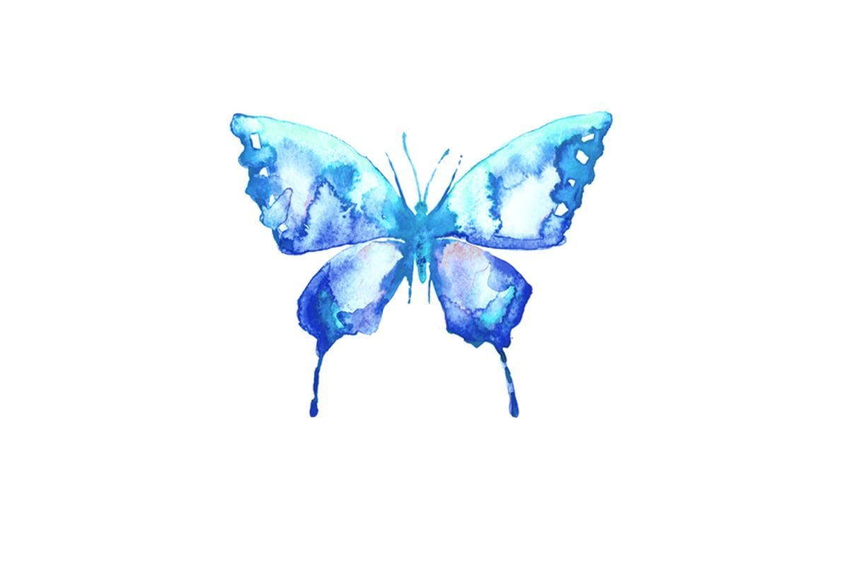 Butterfly 2 | Canvas Wall Art Print - Final Touch Decor