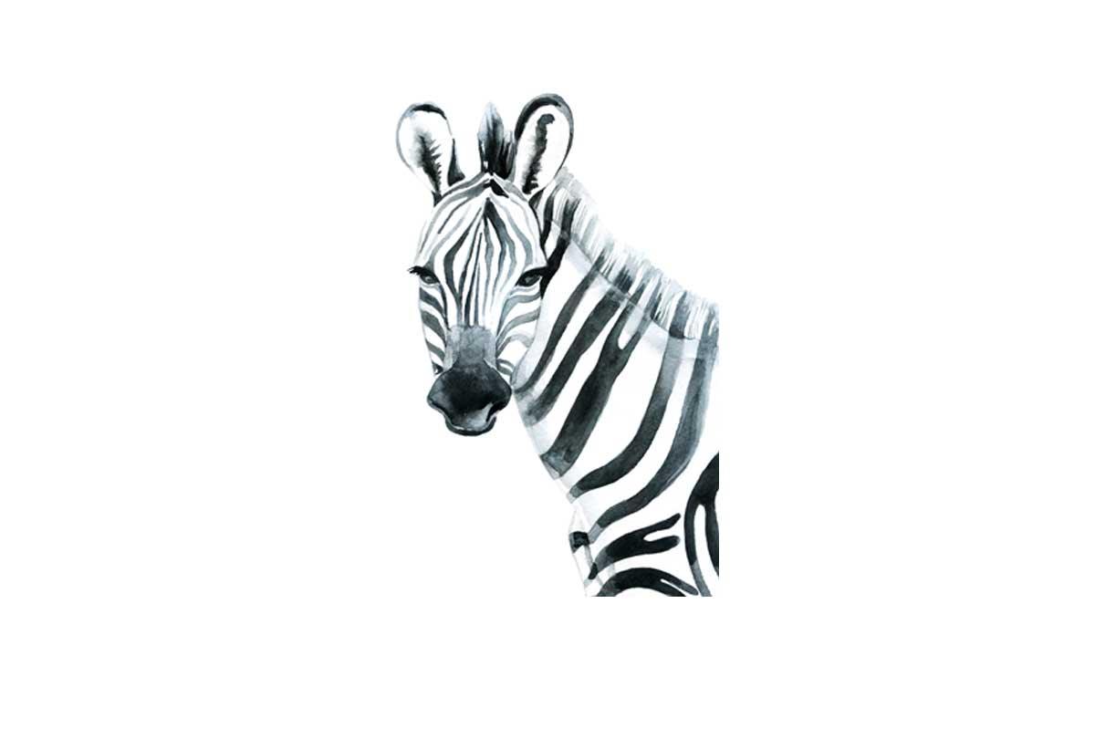 Zebra Watercolour | Canvas Wall Art Print - Final Touch Decor