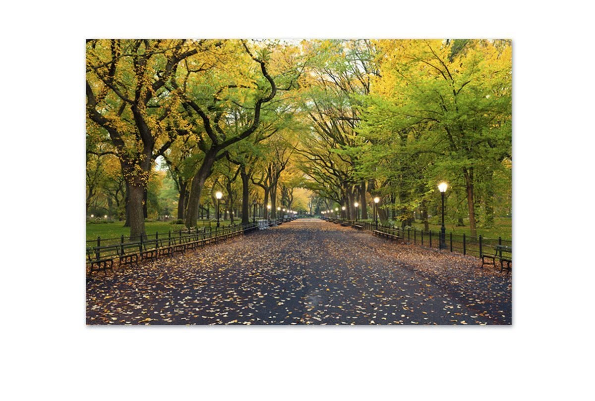 Central Park | Canvas Art Print - Final Touch Decor