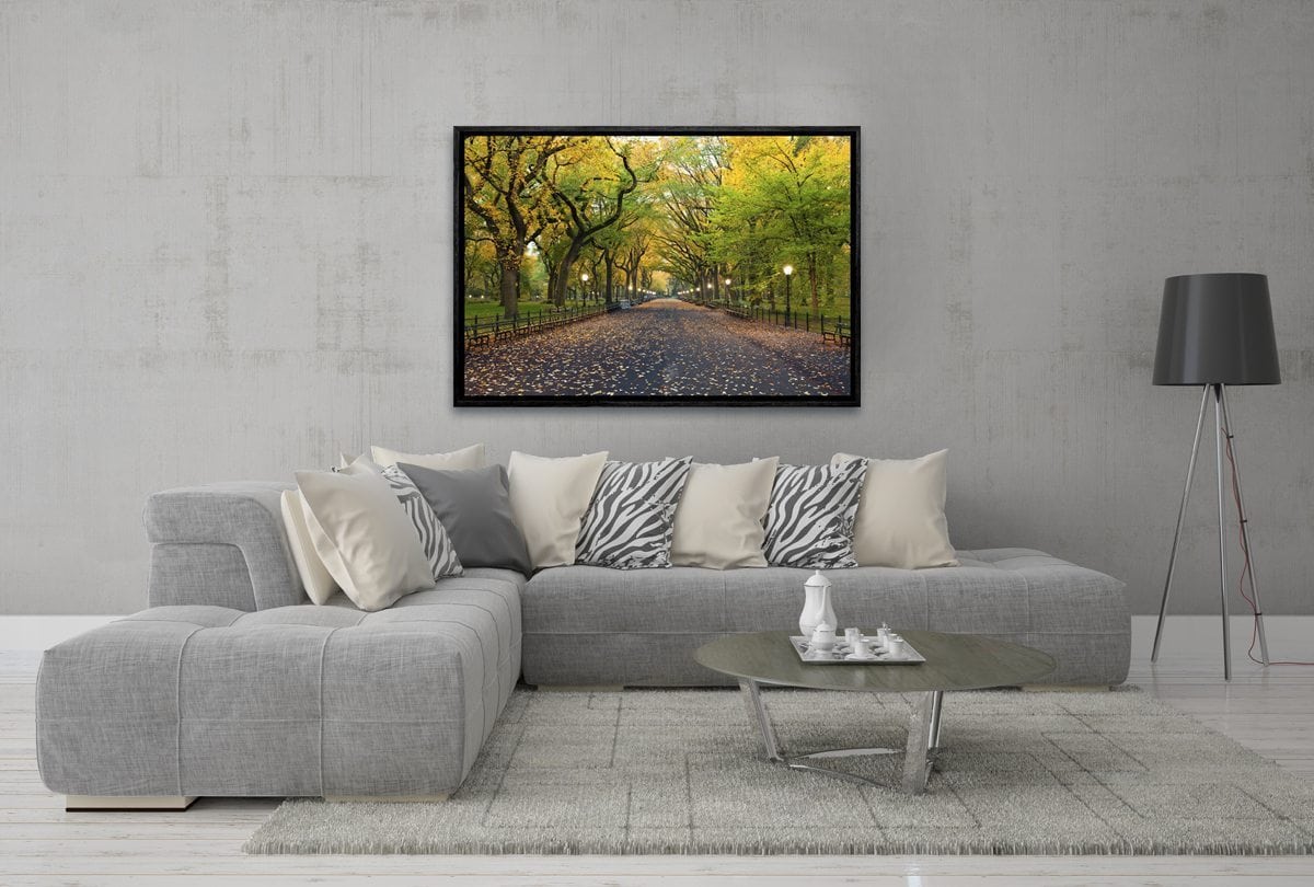 Central Park | Canvas Art Print - Final Touch Decor
