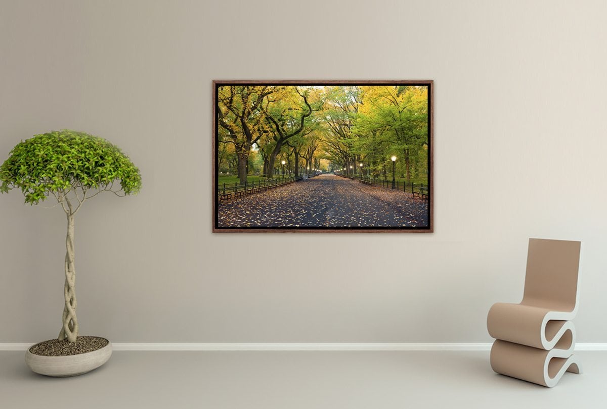 Central Park | Canvas Art Print - Final Touch Decor