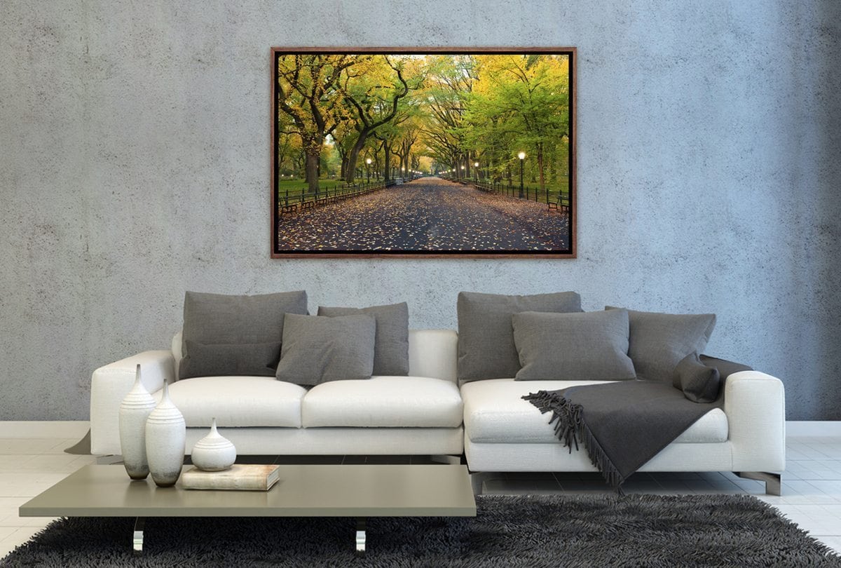 Central Park | Canvas Art Print - Final Touch Decor