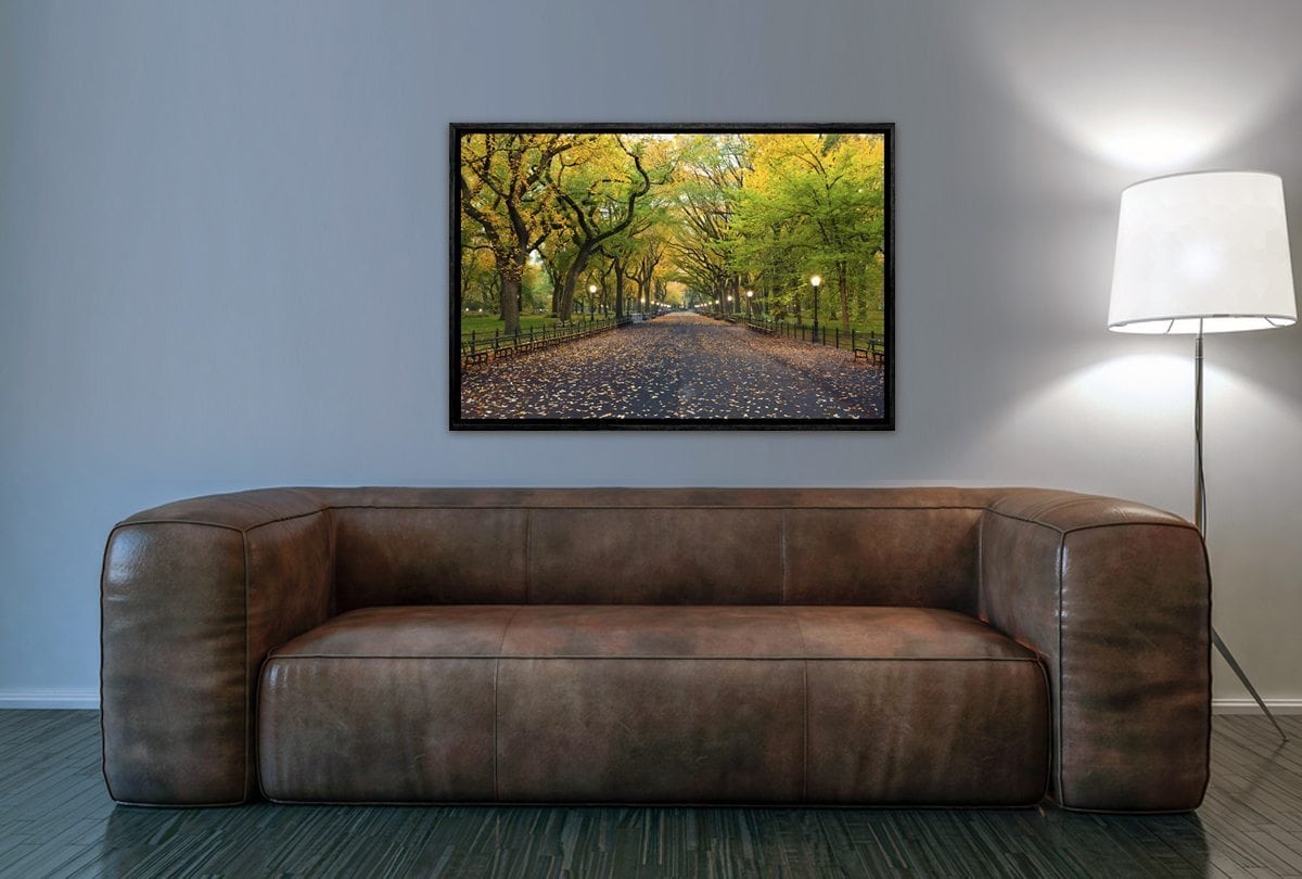 Central Park | Canvas Art Print - Final Touch Decor