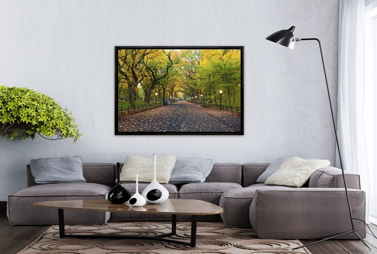 Central Park | Canvas Art Print - Final Touch Decor