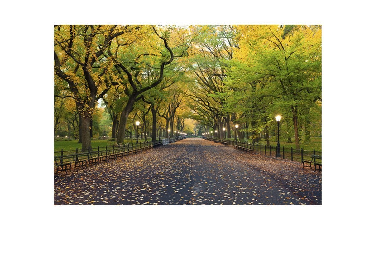 Central Park | Canvas Art Print - Final Touch Decor