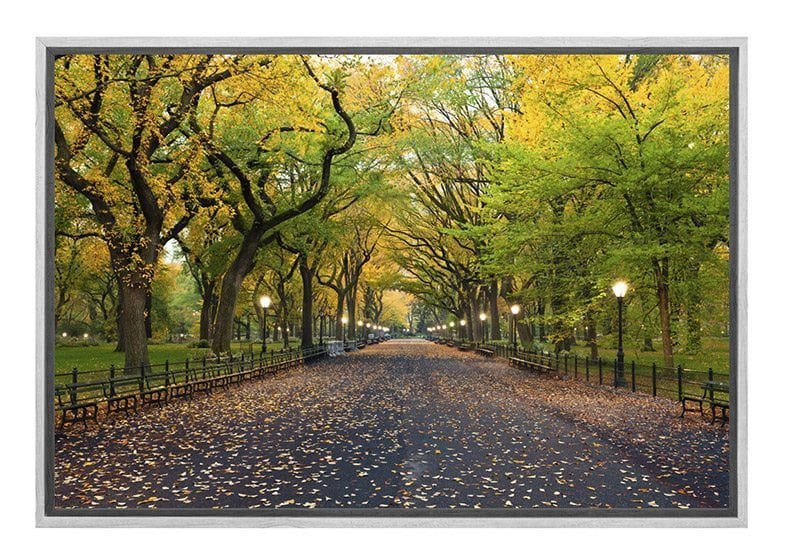 Central Park | Canvas Art Print - Final Touch Decor