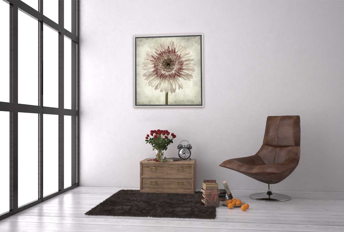 Vintage Daisy | Canvas Wall Art Print - Final Touch Decor