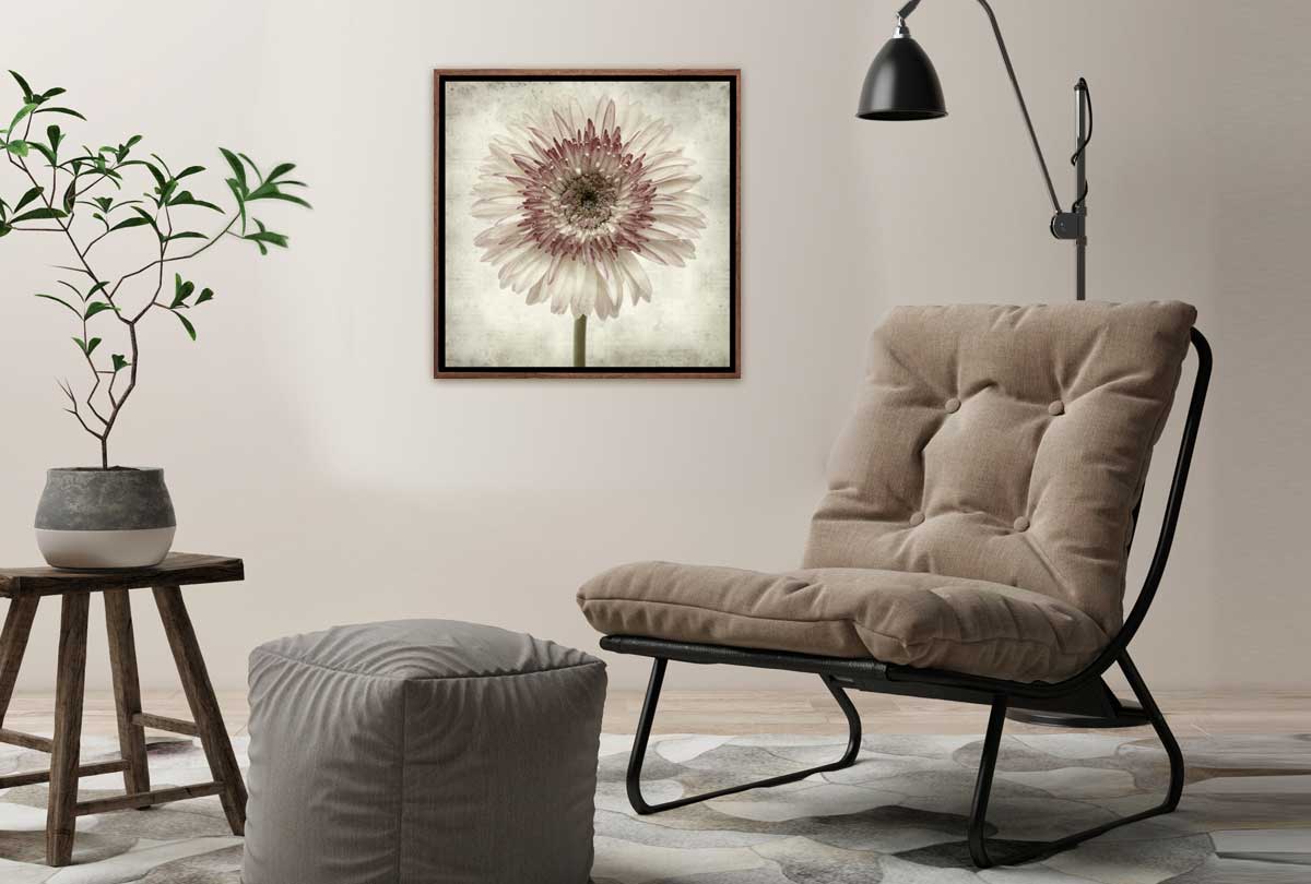 Vintage Daisy | Canvas Wall Art Print - Final Touch Decor
