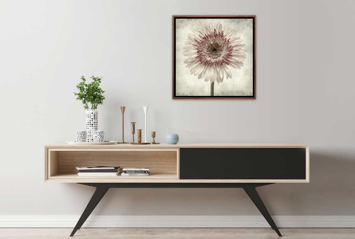 Vintage Daisy | Canvas Wall Art Print - Final Touch Decor