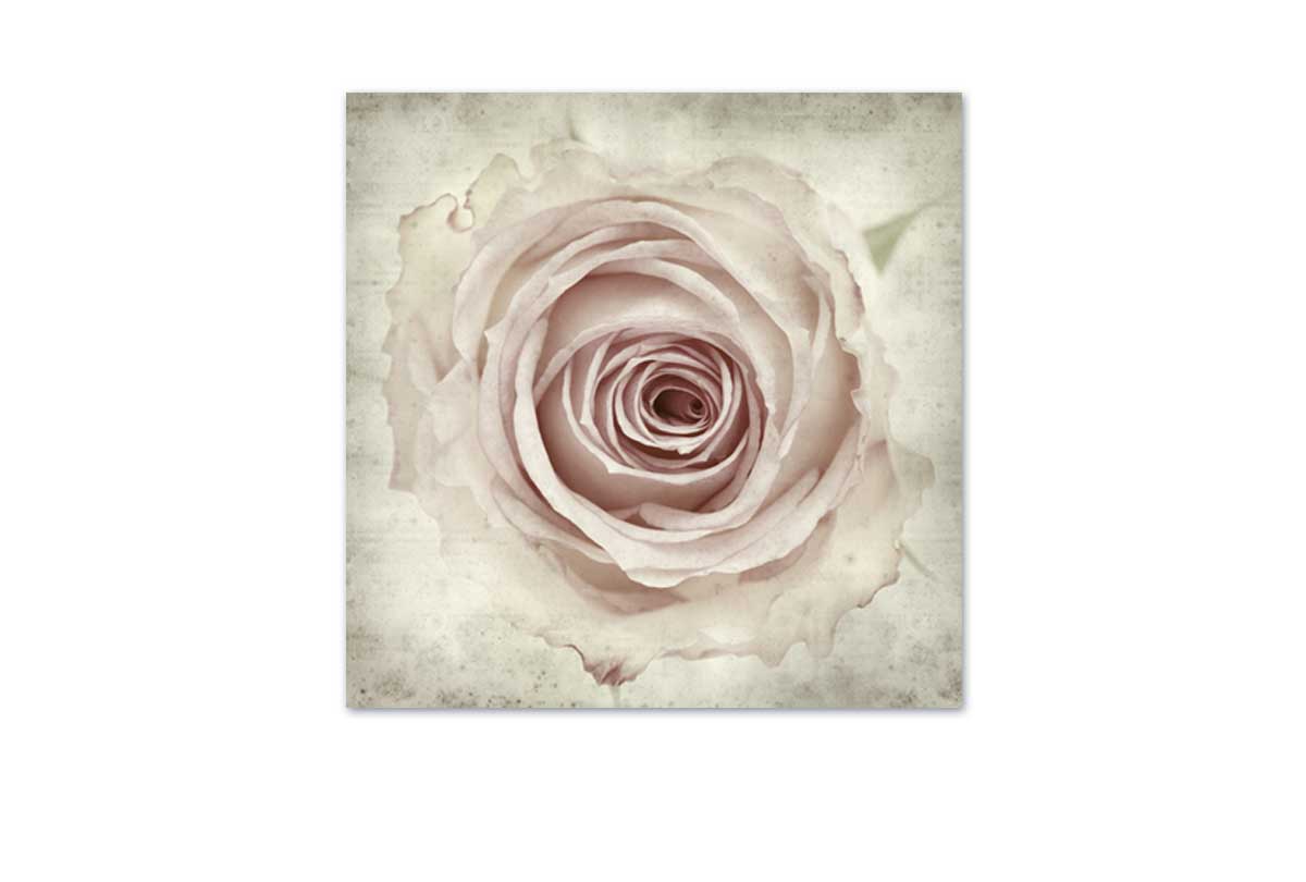 Vintage Rose Bud | Canvas Wall Art Print - Final Touch Decor
