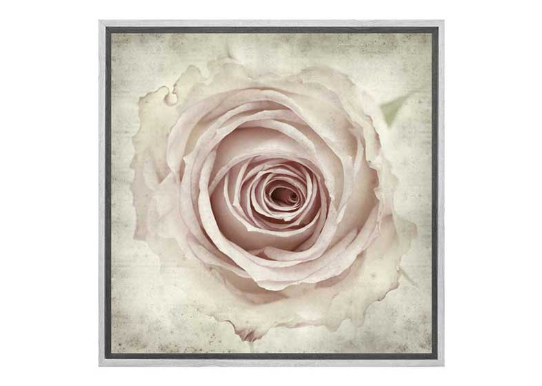Vintage Rose Bud | Canvas Wall Art Print - Final Touch Decor