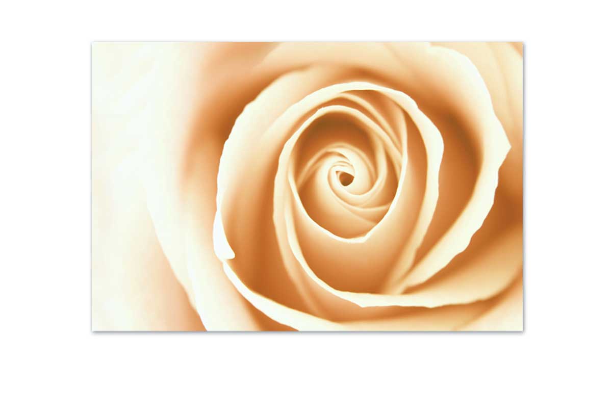 Sepia Rosebud | Canvas Wall Art Print - Final Touch Decor