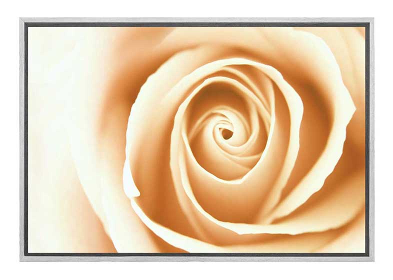 Sepia Rosebud | Canvas Wall Art Print - Final Touch Decor